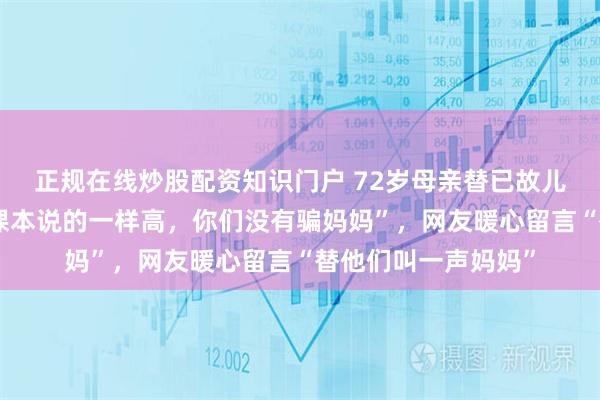 正规在线炒股配资知识门户 72岁母亲替已故儿女看乐山大佛“和课本说的一样高，你们没有骗妈妈”，网友暖心留言“替他们叫一声妈妈”