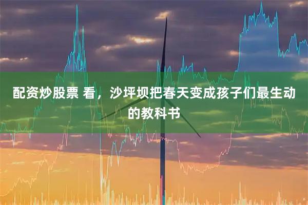 配资炒股票 看，沙坪坝把春天变成孩子们最生动的教科书